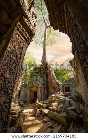 (Selective focus) Stunning view of the Ta Prohm temple with trees growing out of the ruins. Ta Prohm is one of the most visited complexes in Cambodia’s Angkor region. Royalty-Free Stock Photo #2169704183
