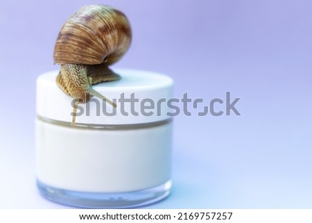 snail sliding on white jar with skin face cream,dark bottle with essential oil,for massage,facial yoga.anti aging,anti wrinkle,regenerating face cream based on snail mucin Royalty-Free Stock Photo #2169757257