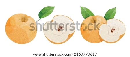 Set of Snow pear with leaves Design elements. watercolour style vector illustration.	 Royalty-Free Stock Photo #2169779619