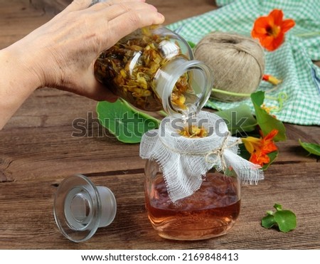 Filtering tincture from Tropaeolum majus, also called garden nasturtium or Indian cress. The whole plant is chopped up and covered in alcohol. Tincture is good for medicinal use. Royalty-Free Stock Photo #2169848413