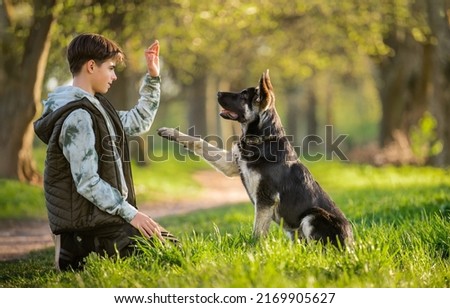boy with a dog walks in the park on a sunny spring evening, sits on the grass, the dog obeys the order give a paw. Friendship of man and animal, healthy lifestyle. Royalty-Free Stock Photo #2169905627