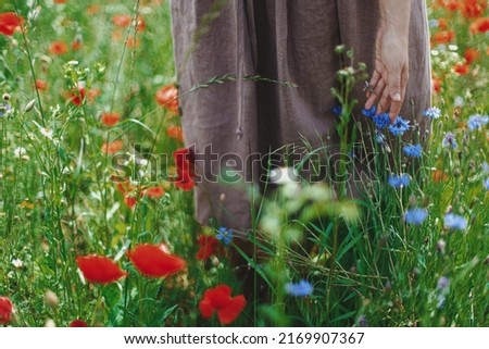 Close up of woman hand gathering cornflowers in sunny field. Cottagecore aesthetics. Young female in rustic dress holding wildflowers meadow in summer countryside, slow life
