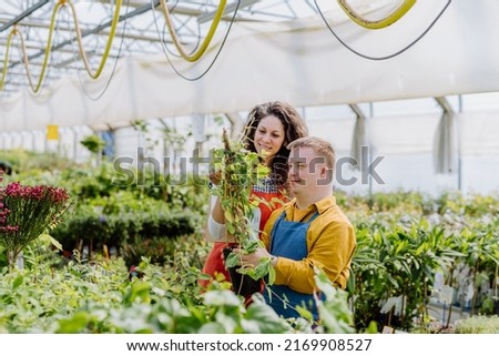 Experienced woman florist helping young employee with Down syndrome in garden centre. Royalty-Free Stock Photo #2169908527