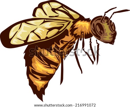 Illustration Featuring a Bee