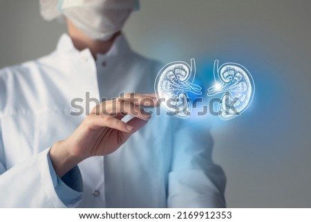 Female doctor touches virtual Kidneys in hand. Blurred photo, handrawn human organ, highlighted blue as symbol of recovery. Healthcare hospital service concept stock photo Royalty-Free Stock Photo #2169912353