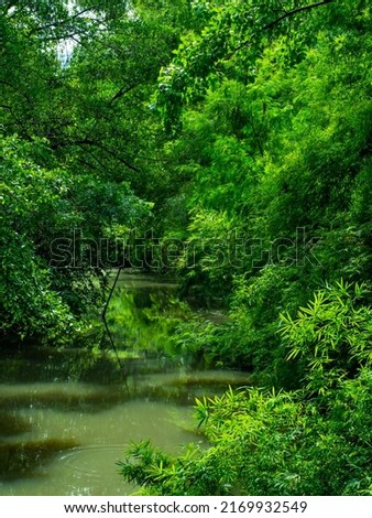 Pictures of nature, greenery and freshness.