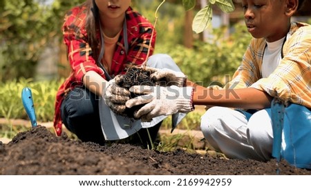Cute child planting young tree on the black soil working in the garden as save world concept, nature, environment and ecology. Education and School children planting young fruit trees outdoor concept. Royalty-Free Stock Photo #2169942959