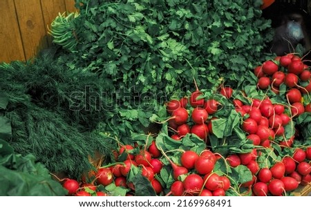 Supply of fresh and delicious herbs and salads in the store. Red radishes, dill and parsley for cooking dinner