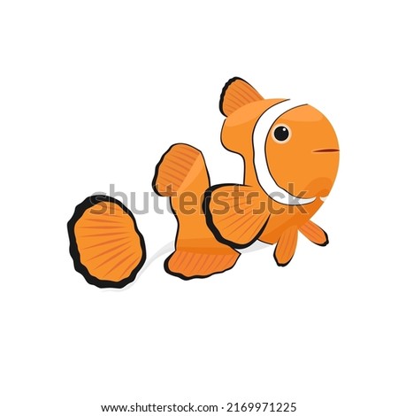Clownfish isolated on white background, reef fish, vector illustration.
