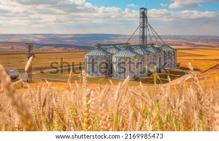 Agricultural Silos for storage and drying of grains, wheat, corn, soy, sunflower - Beautiful landscape of sunset over wheat field at summer Royalty-Free Stock Photo #2169985473
