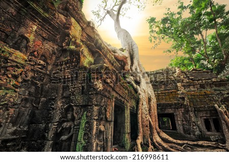 Ancient Khmer architecture. Ta Prohm temple with giant banyan tree at sunset. Angkor Wat complex, Siem Reap, Cambodia travel destinations  Royalty-Free Stock Photo #216998611