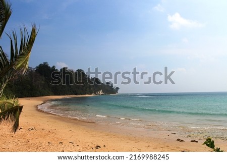selective focus blurry shot of the beautiful Sitapur beach in Andaman Nicobar Islands