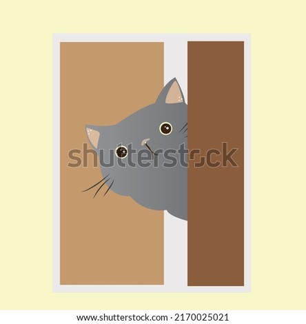 gray fat cat peeking out from behind the door