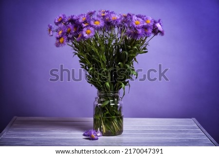 Purple flowers in jar.Wildflowers. Still life