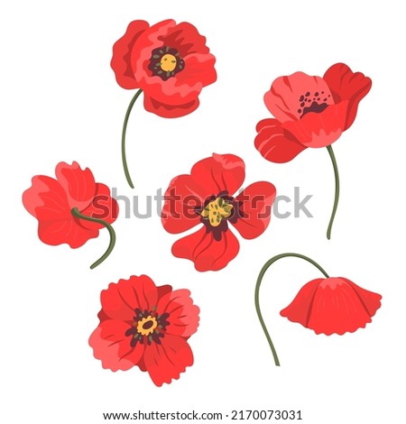 Vector botanical illustration of poppies. Isolated objects of white. Bright colorful flowers for prints, fabrics and backgrounds. Vivid colors. Hand drawn flat doodle illustration 