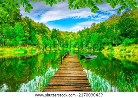 Summer landscape in forest with beautiful lake. Amazing lake landscape. Colorful nature scenery created by beautiful seasons. lake in the forest. European nature landscape.