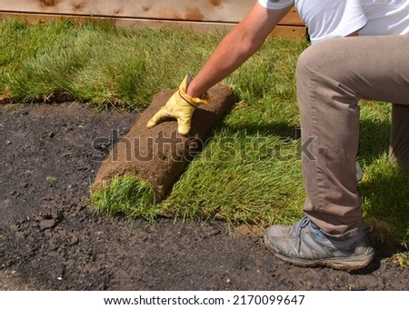 A man rolling out sod, doing backyard landscaping. Royalty-Free Stock Photo #2170099647