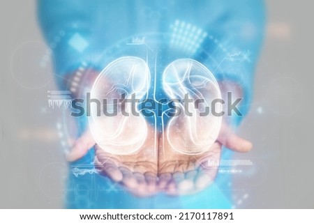 Medical concept, doctor's hands in a blue coat close-up. Ultrasound of the kidneys, x-ray, hologram. Medical care, anatomy, doctor's appointment, transplantology. mixed media Royalty-Free Stock Photo #2170117891