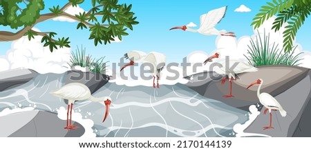 American white ibis group in the forest illustration