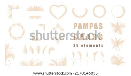 Pampas grass collection. Set of wedding bouquets, frame and borders. Vector cortaderia in boho style isolated on white. Trendy design elements for invitations, postcards, social media, stickers. Royalty-Free Stock Photo #2170146835