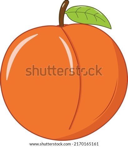 Fresh Peach with Green Leaf Vector Illustration