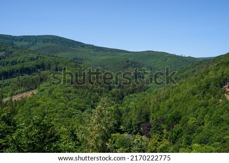 Tourist trail of the Owl Mountains (Góry Sowie). The trail to the mountain called Koci Grzbiet. View of the hills covered with green trees. Beautiful view of the mountains on a sunny summer day. Hike.