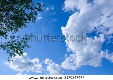 Fluffy white clouds against a bright blue sky. The leaves of the upper part of the trees against the sky in summer. Royalty-Free Stock Photo #2170247479