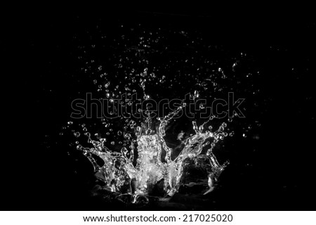 water splash isolated on black background Royalty-Free Stock Photo #217025020
