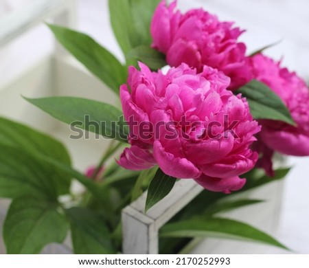peony flowers in a wooden box bouquet, basket, bouquet of flowers on a white background,