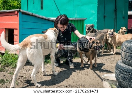 Dog at the shelter. Animal shelter volunteer feeding the dogs. Lonely dogs in cage with cheerful woman volunteer Royalty-Free Stock Photo #2170261471