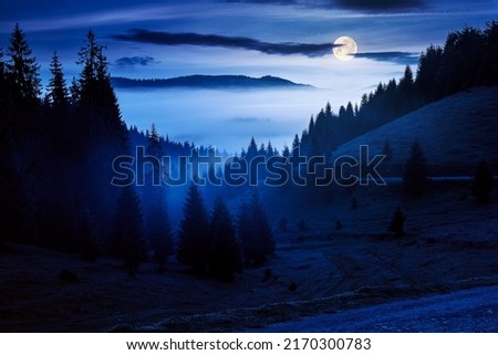 mountain landscape on a foggy night. coniferous trees on the grassy meadow in the valley in full moon light