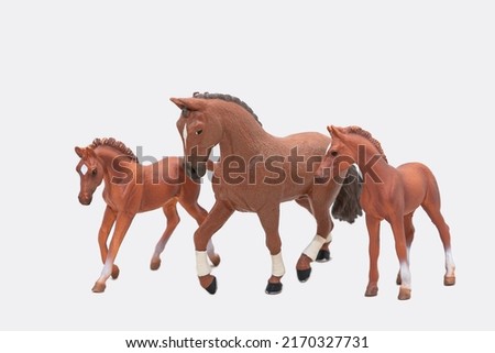 Realistic plastic toy horse and foals. Isolate on a white background. A cute little horse figurine is a toy for children. Copy space