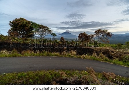 view of mount kerinci with trails and cinnamon bark.