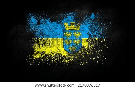 brush painted flag of Lower Austria isolated on black background
