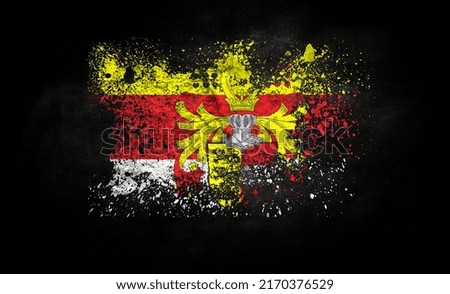 brush painted flag of Carinthia isolated on black background