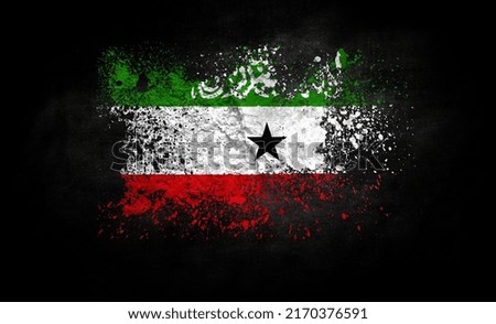 brush painted flag of Somaliland isolated on black background