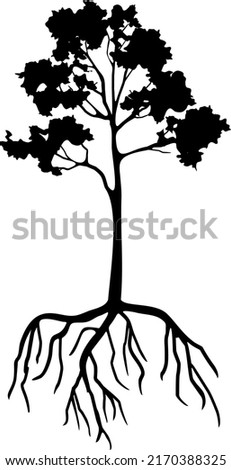 Black silhouette of tree with root system isolated on white background