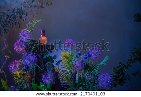 bottle of magic potions in  magical forest Royalty-Free Stock Photo #2170401103