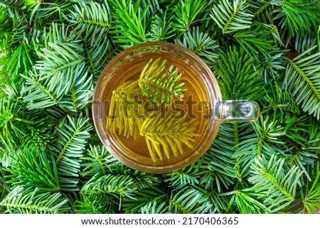 a drink made of pine needles in a cup with green fir needles on a background of pine needles close-up top view Royalty-Free Stock Photo #2170406365