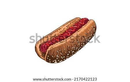 Graphical color hot dog isolated on white, vector illustration ,fast-food