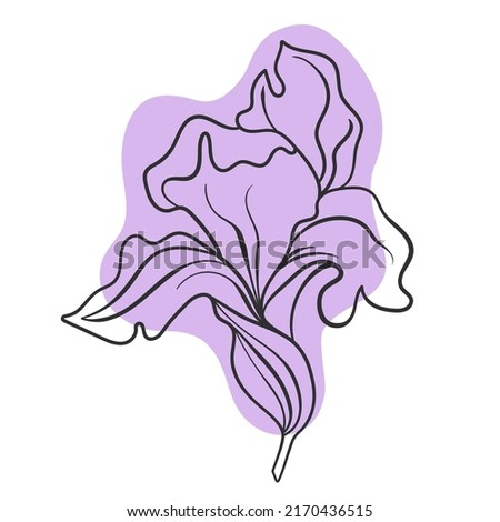 Vector line black illustration graphics flower iris with colors stains. Royalty-Free Stock Photo #2170436515