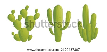 Set of cactus vector illustration. cactus vector illustration in flat style. Bright cactus set vector. Cactus set vector design illustration. Royalty-Free Stock Photo #2170437307