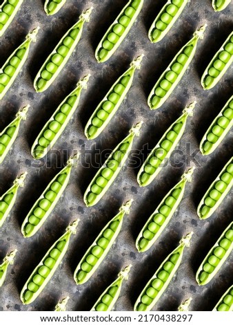 Pattern of young green peas. Background of open pods of green peas on a black concrete background. Summer vitamin vegetables.