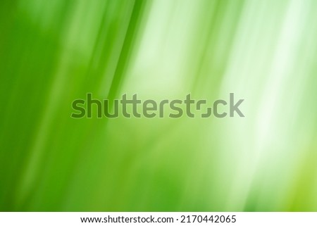 Motion blur green backdrop. Green color background blurred and defocused.