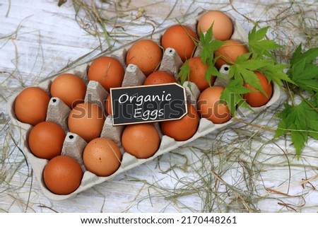 Egg carton with organic eggs.