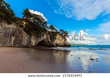 Cathedral Cove on the North Island of New Zealand. Ocean low tide at sunset. Grass and trees grow on picturesque huge rocks. The concept of exotic, ecological and photo tourism