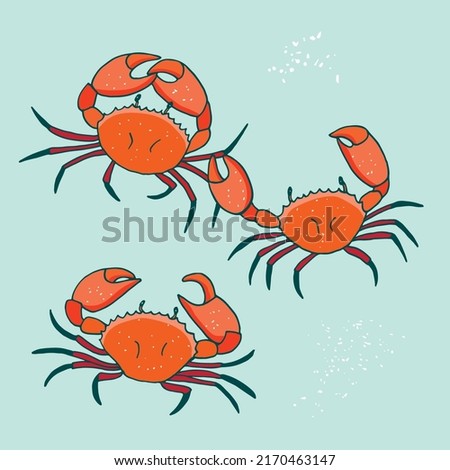 Crab sea animal vector illustrations set