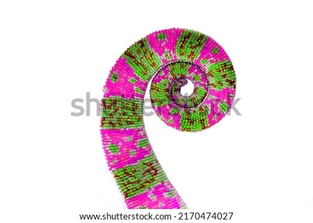 Chameleon tail isolated on a white background. Multicolor beautiful chameleon reptile with bright vibrant skin. The concept of camouflage and bright skin. Exotic tropical animal. Royalty-Free Stock Photo #2170474027