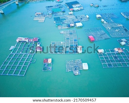A corner of the oyster feeding farm, float fishing village in Long Son commune, Ba Ria Vung Tau province Vietnam. People living and doing feed fish industry at floating village.