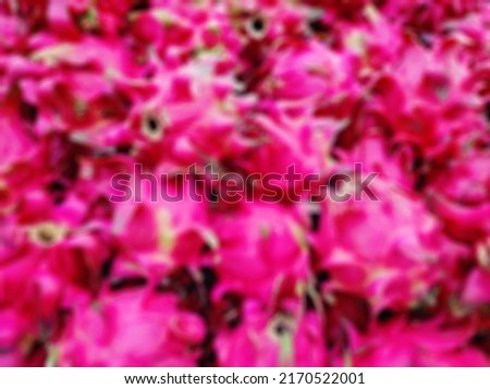 Defocused abstract background of bunch of red dragon fruits
